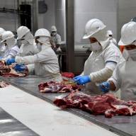  La carne bovina fue responsable del 15,6% de los ingresos totales de divisas al país