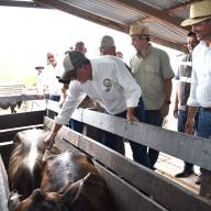 La ARP propone seguir trabajando firmes y unidos en el fortalecimiento de la sanidad animal