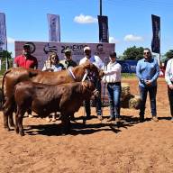 El sector ganadero se lució con genética premium en la Expo Canindeyú 2026