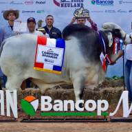 La Nacional Brahman mostró el resultado de décadas de trabajo sostenido